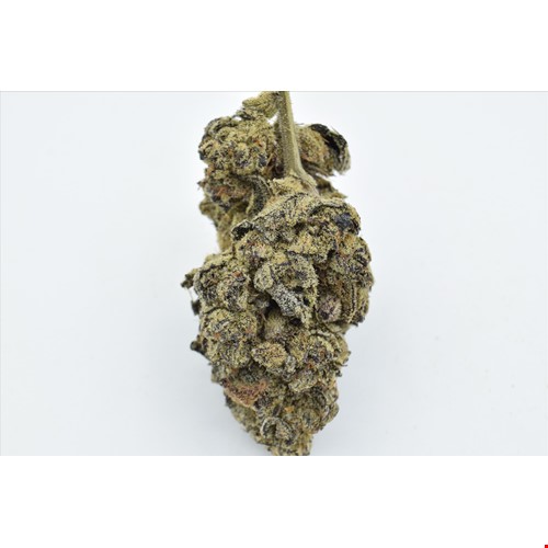 Dante Inferno (Hybrid) - SALE 1 OZ $150
